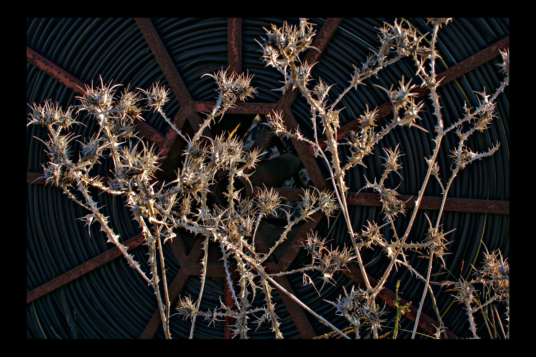 Sony Alpha NEX-5N + Sigma 30mm F2.8 EX DN sample photo. The big wheel photography