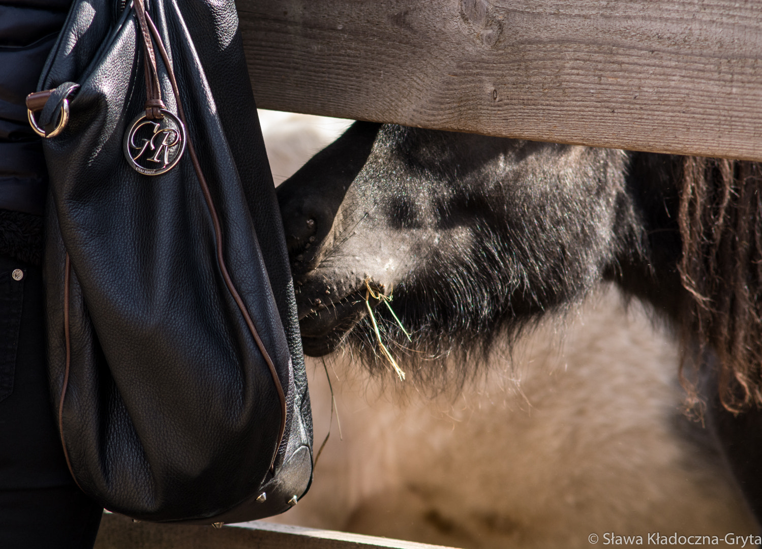 Nikon D7100 + AF Zoom-Nikkor 70-210mm f/4 sample photo. On the farm photography