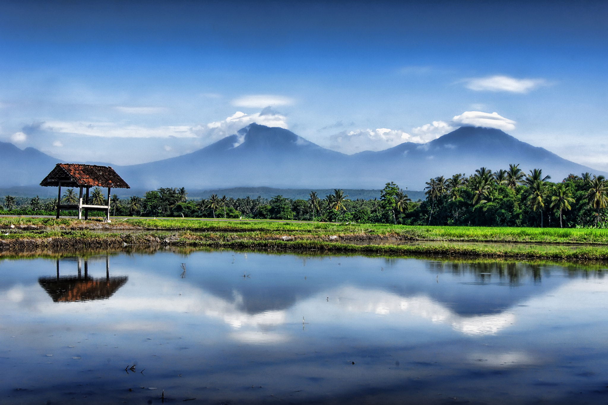 Sony Alpha DSLR-A560 sample photo. Refleksi gunung photography