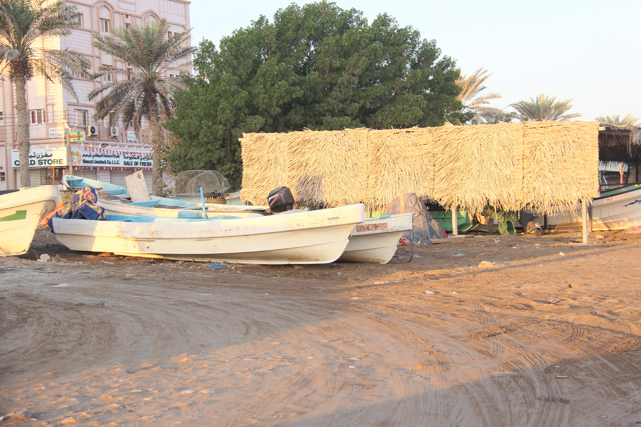 Canon EOS 600D (Rebel EOS T3i / EOS Kiss X5) sample photo. On the dry land photography