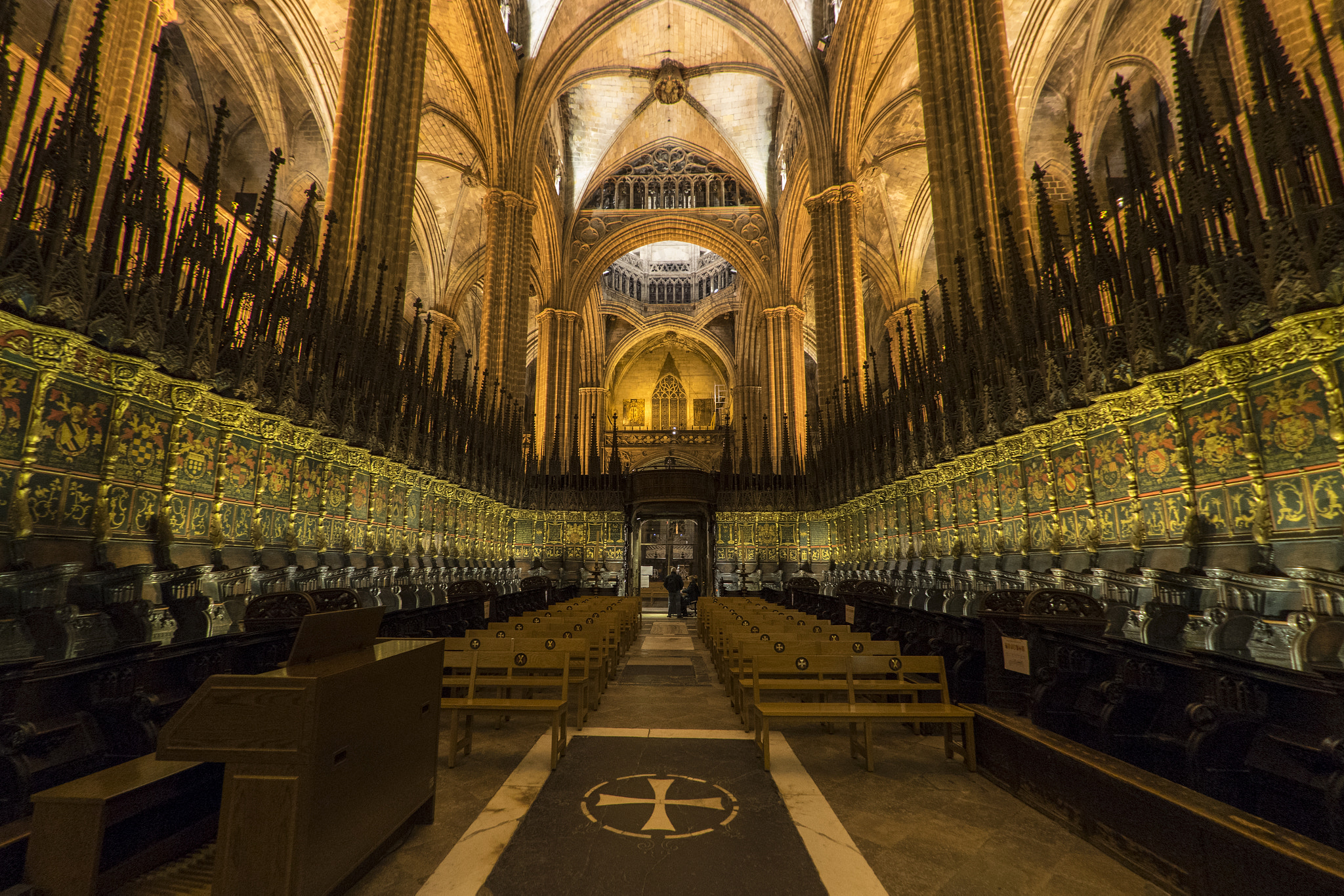 Sony a7 II + FE 16mm F3.5 Fisheye sample photo. La catedral, barcelona photography