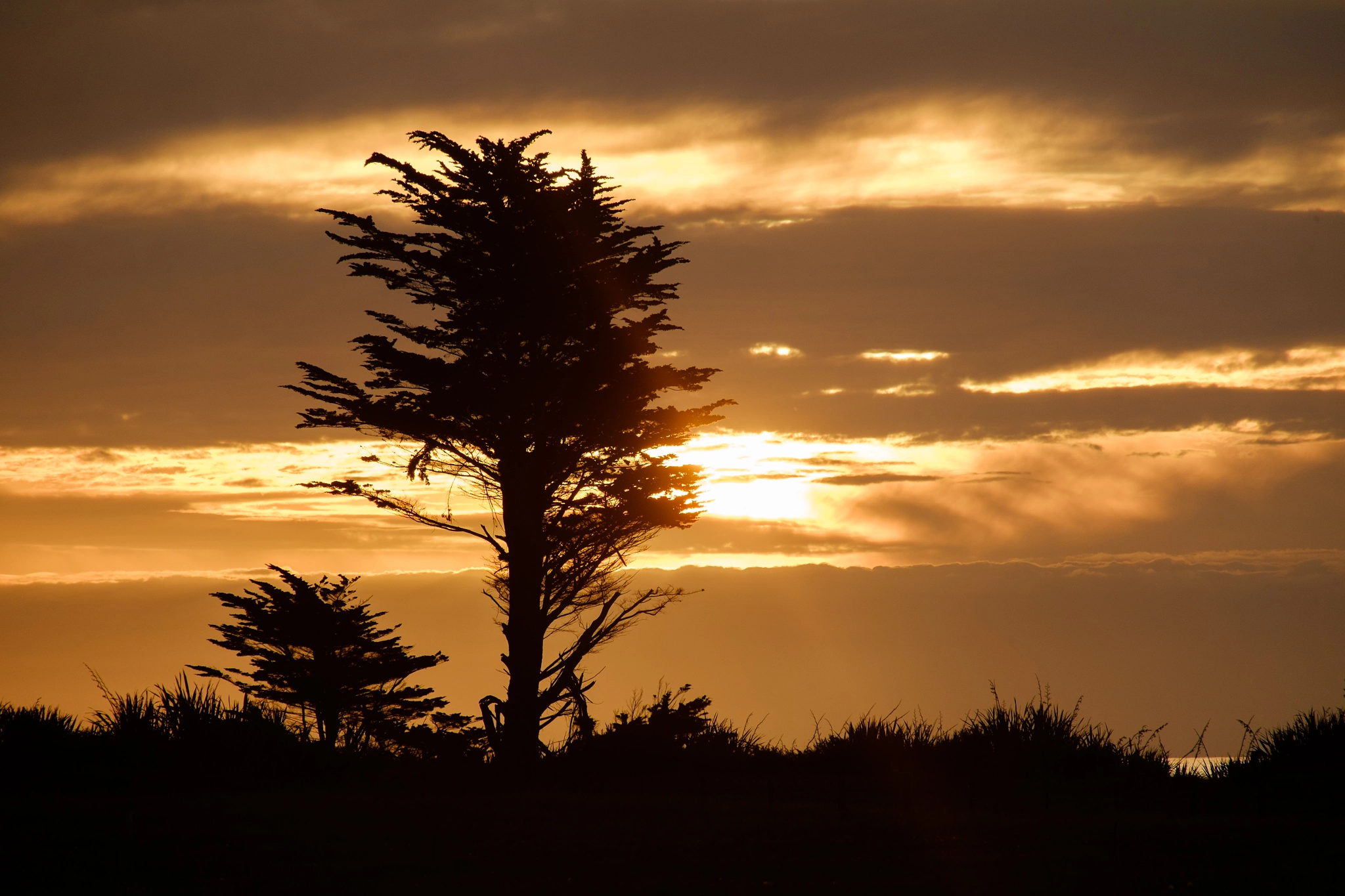 Fujifilm X-Pro1 + Fujifilm XC 50-230mm F4.5-6.7 OIS sample photo. Sunset at jacksons bay, new zealand photography
