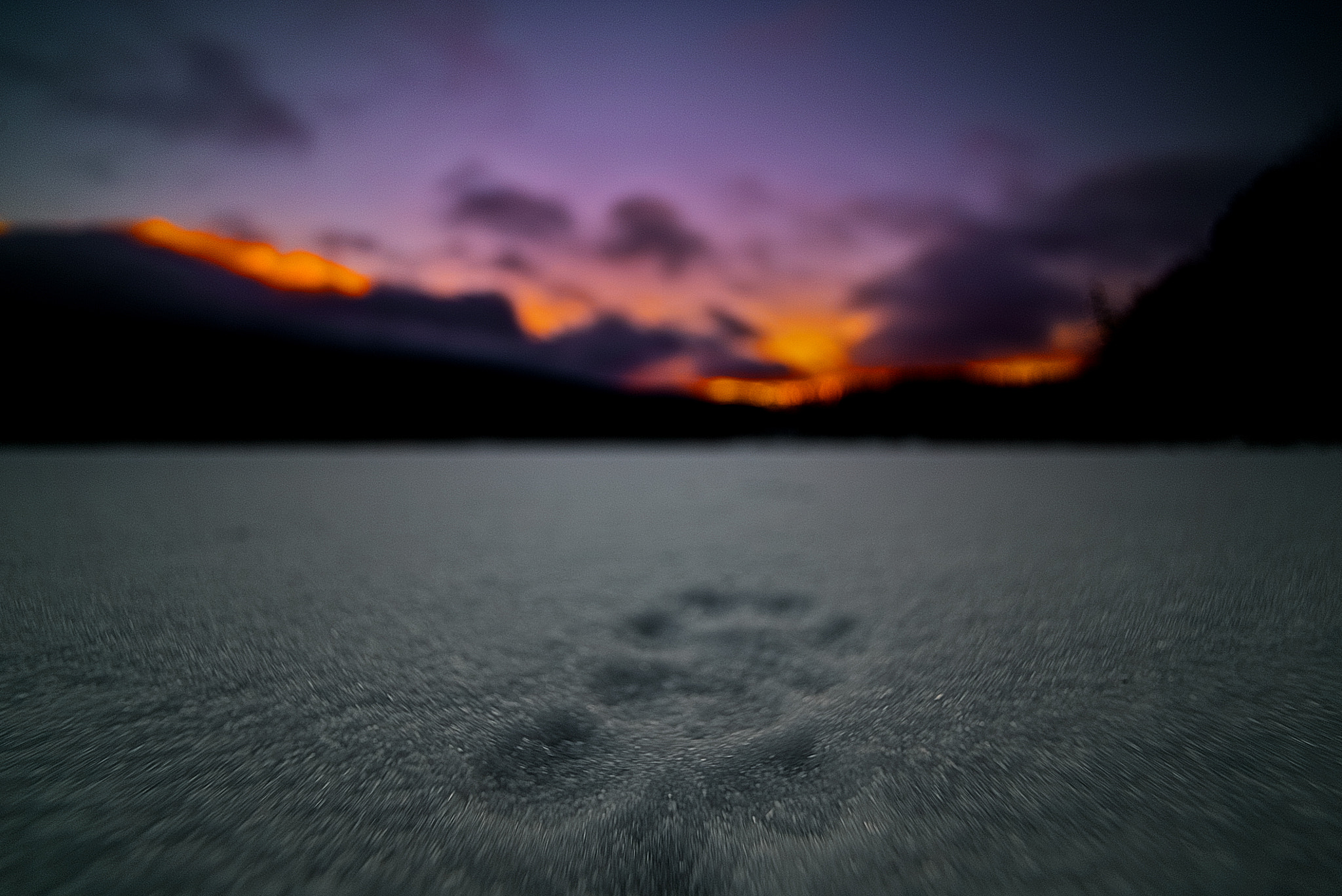 Sony a7S sample photo. Follow in the footsteps photography