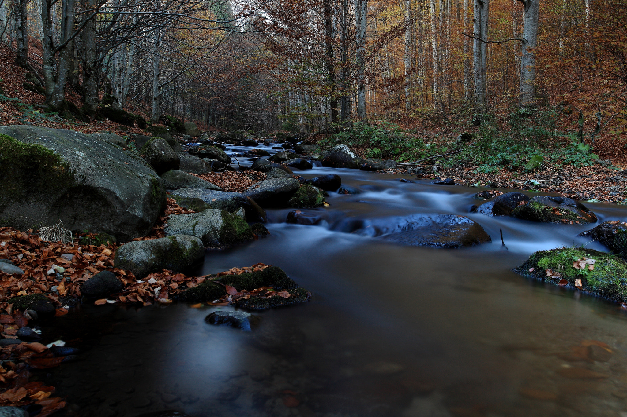 Canon EF 17-40mm F4L USM sample photo. Tunderferedo photography