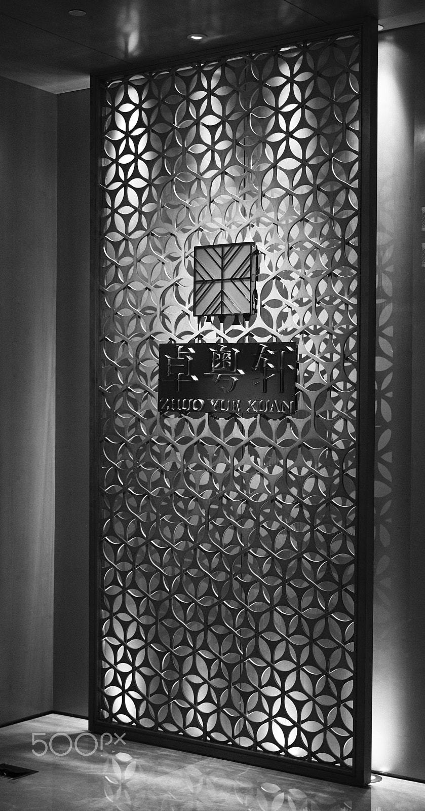 Leica M Monochrom (Typ 246) sample photo. A piece of artwork photography