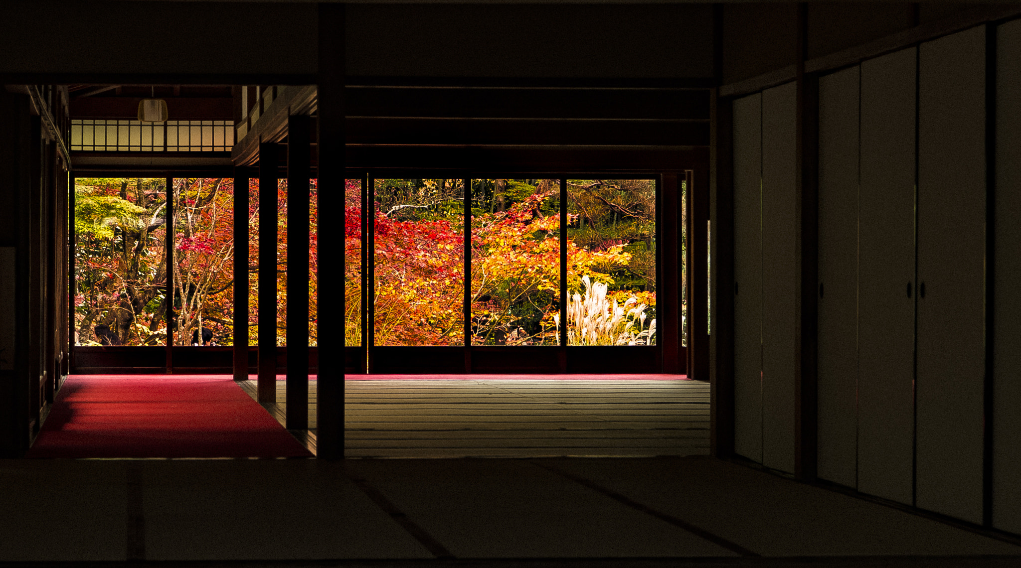Nikon AF-S Nikkor 24-70mm F2.8E ED VR sample photo. Tenjyuan nanzenji photography