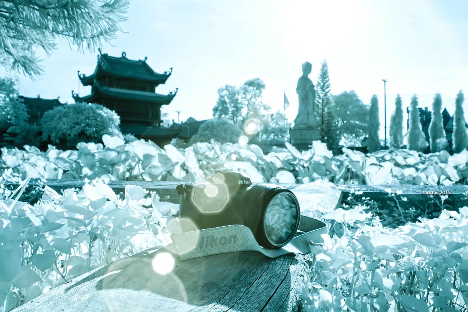 Nikon D70s sample photo. I am nikon fan ((ir) photography