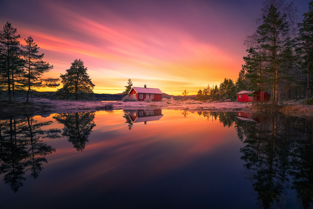 Sony a7R + Canon EF 16-35mm F4L IS USM sample photo. Painkiller photography