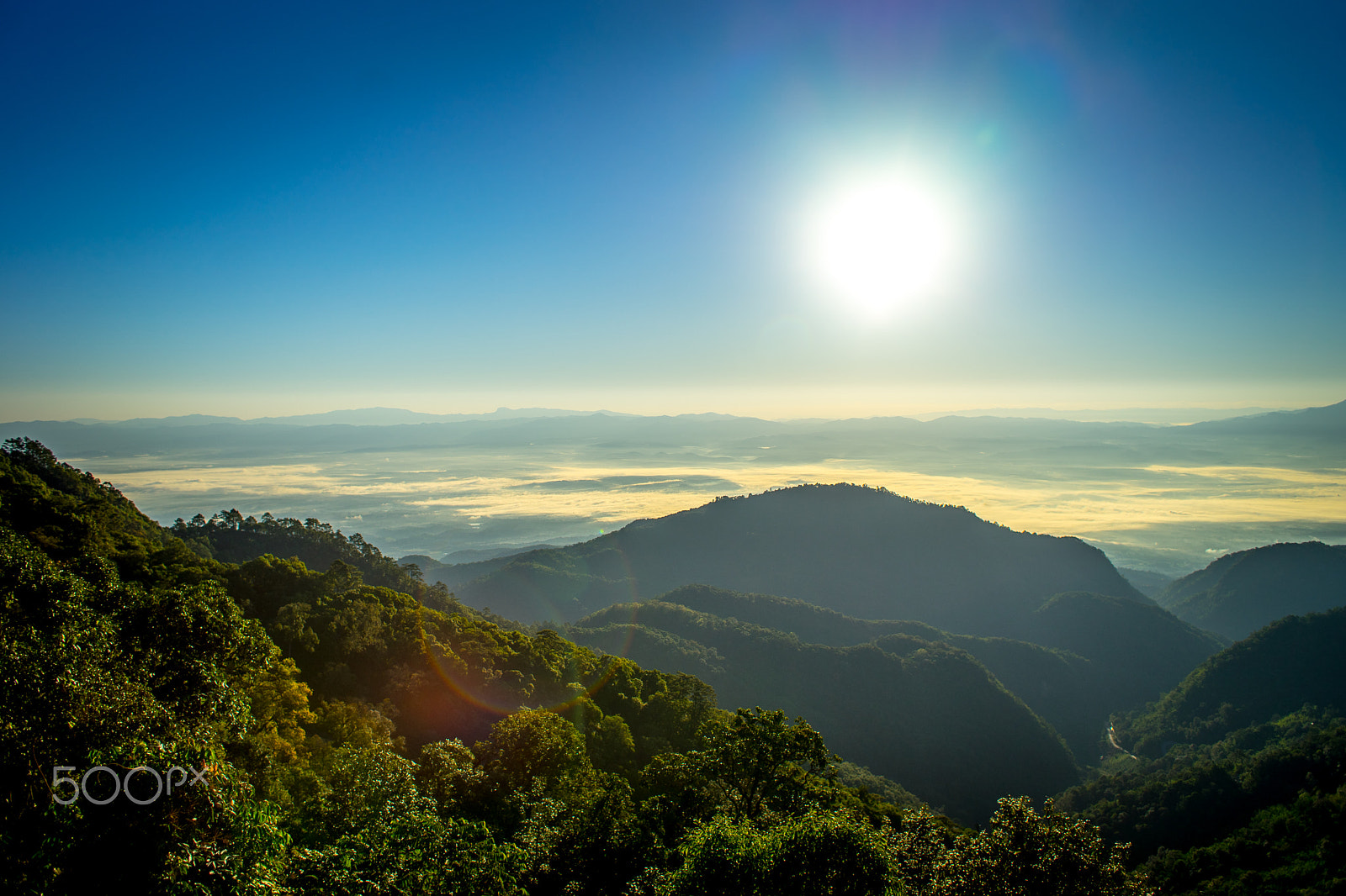 Sony a7 II + Canon EF 28mm F1.8 USM sample photo. Morning sun photography