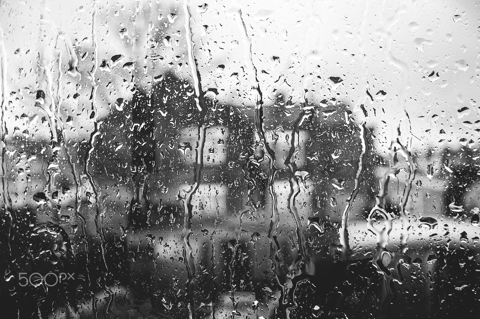 Sigma 30mm F1.4 EX DC HSM sample photo. Rain photography
