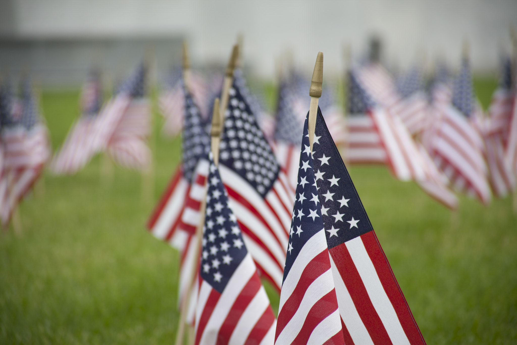 Canon EF 28-200mm F3.5-5.6 USM sample photo. American flags photography