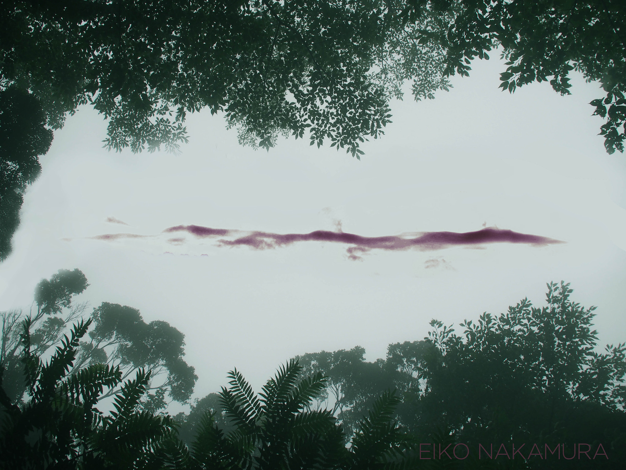 Olympus PEN E-P5 sample photo. The dragon cloud photography