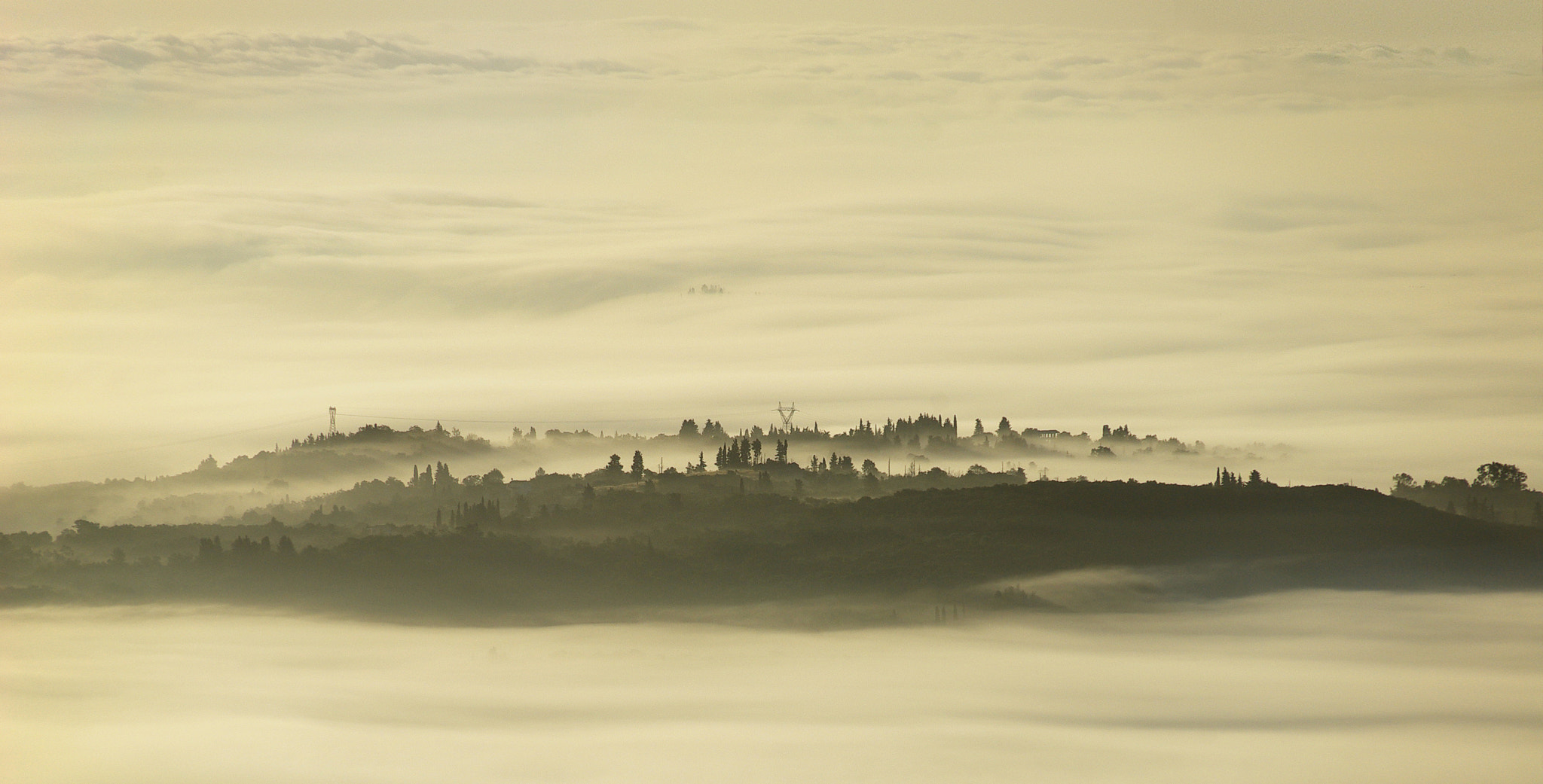 Pentax K10D sample photo. Morning mist photography