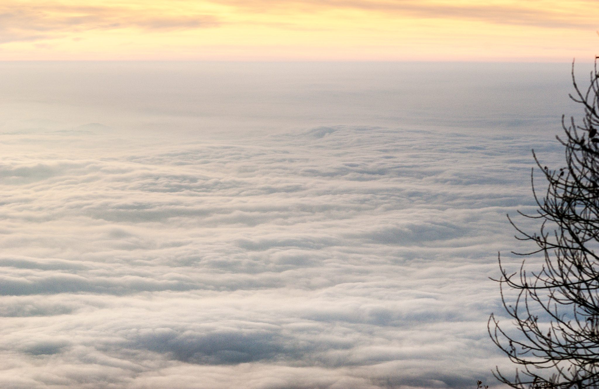 AF Nikkor 70-210mm f/4-5.6D sample photo. Above the morning fog photography