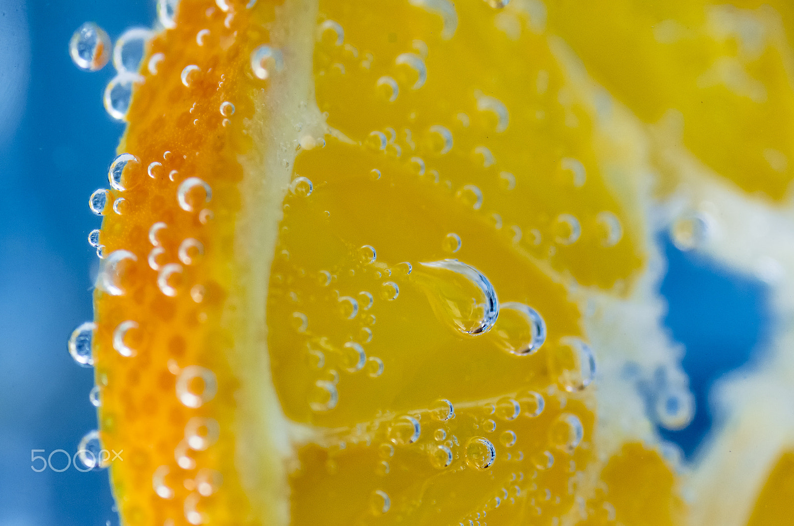 Tamron SP AF 90mm F2.8 Di Macro sample photo. Orange force photography