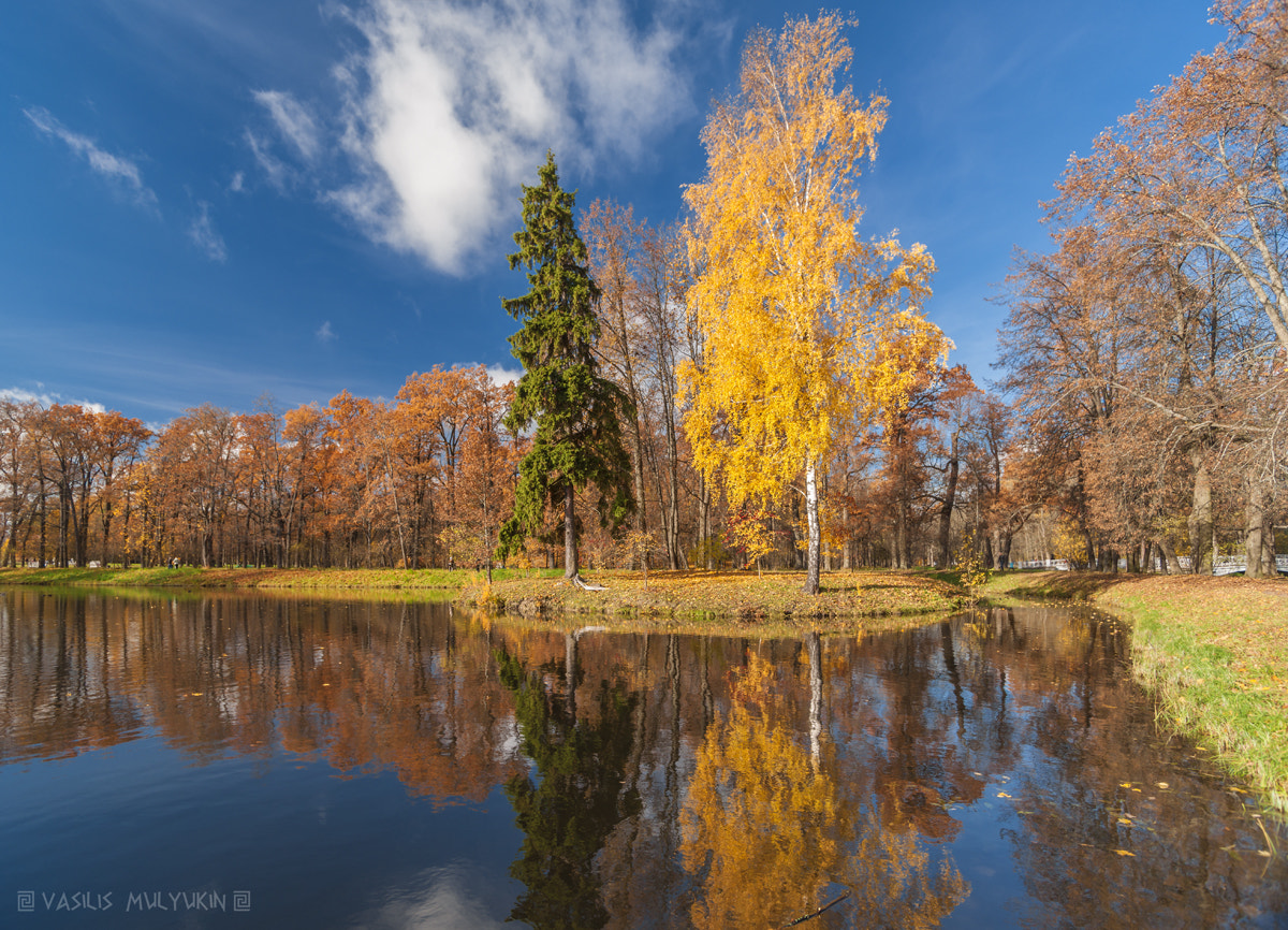 Sony Alpha DSLR-A900 + Minolta AF 17-35mm F2.8-4 (D) sample photo. В Александровском парке photography