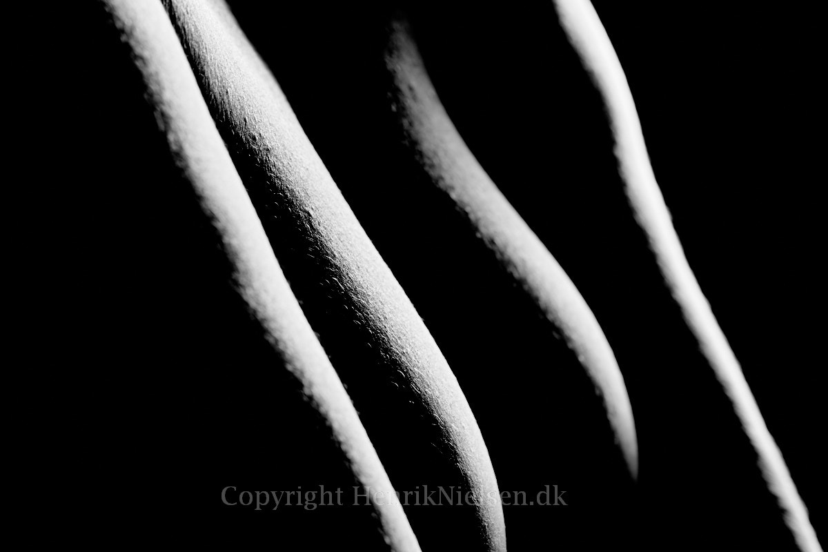 Canon EOS-1Ds Mark III sample photo. Bodyshapes photography