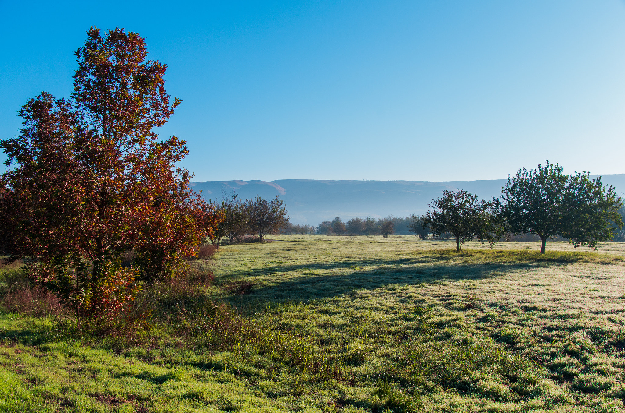 Pentax K-5 IIs sample photo. Hula valley photography