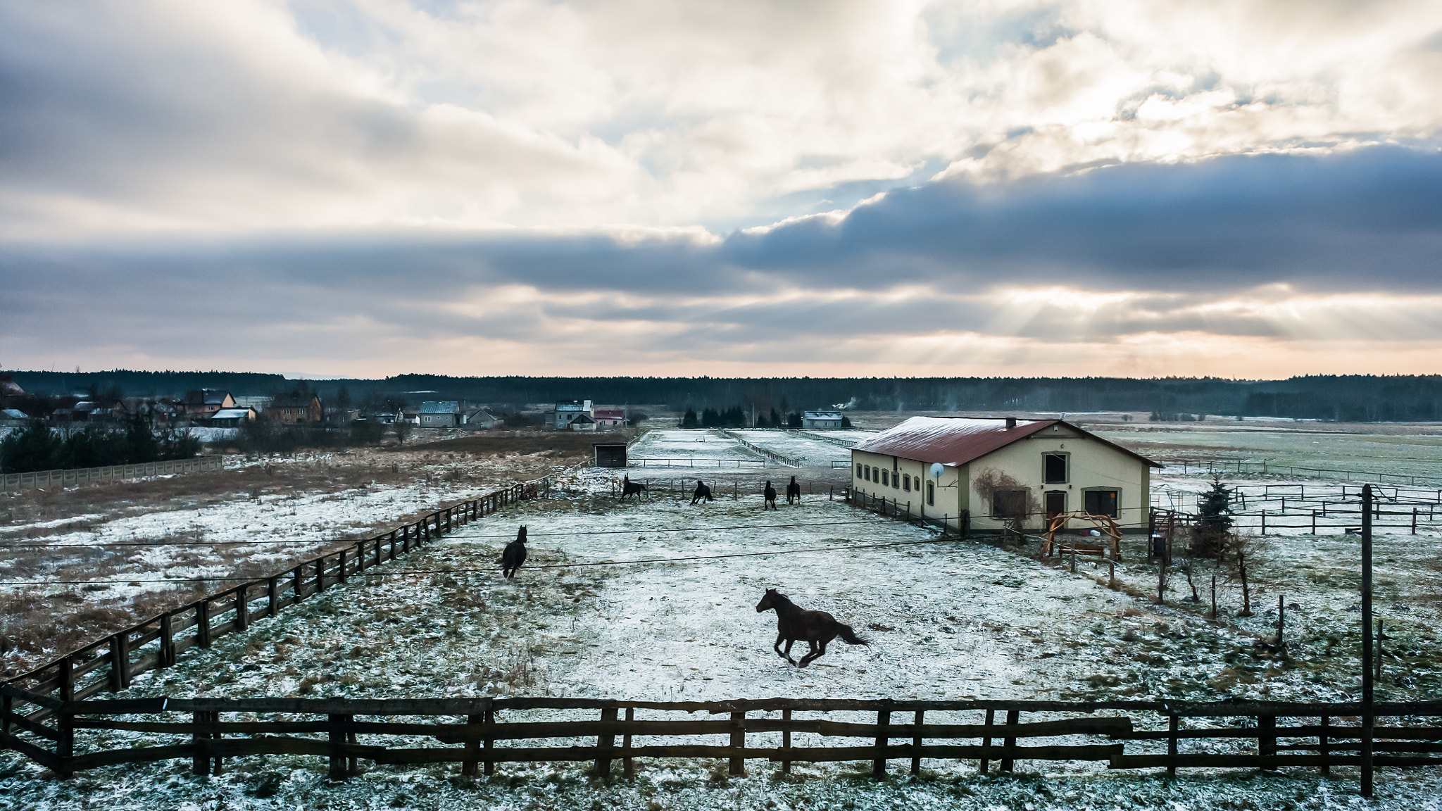 Canon EOS 5D + Canon EF 28mm F1.8 USM sample photo. Horses in the winter photography
