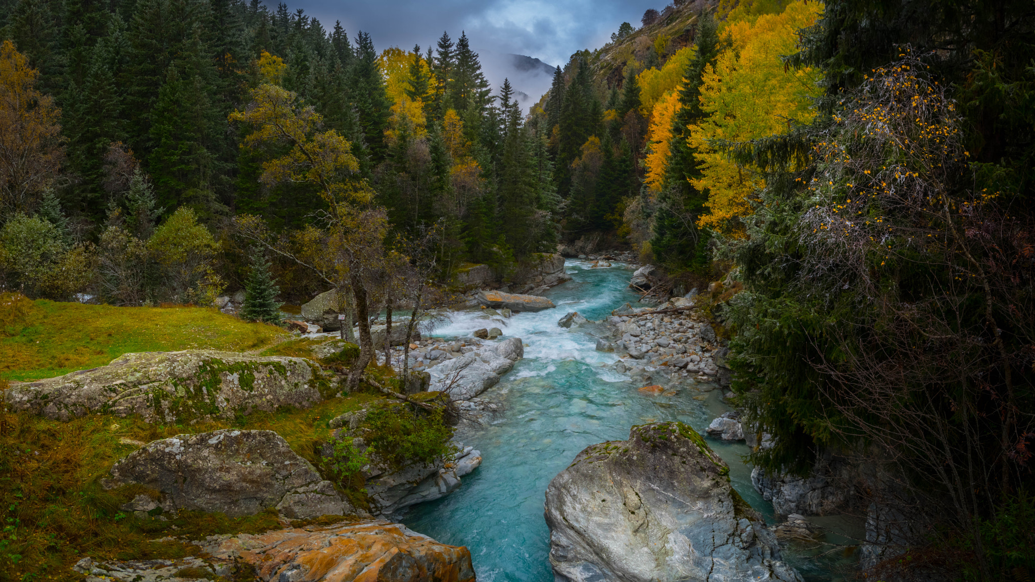 Pentax K-3 II sample photo. Like trees planted by the waters photography