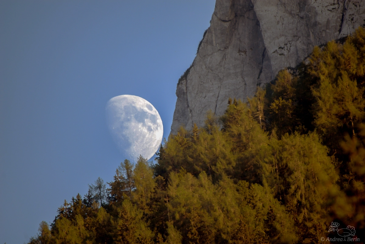 Sigma 50-500mm F4-6.3 EX APO RF HSM sample photo. Luna photography
