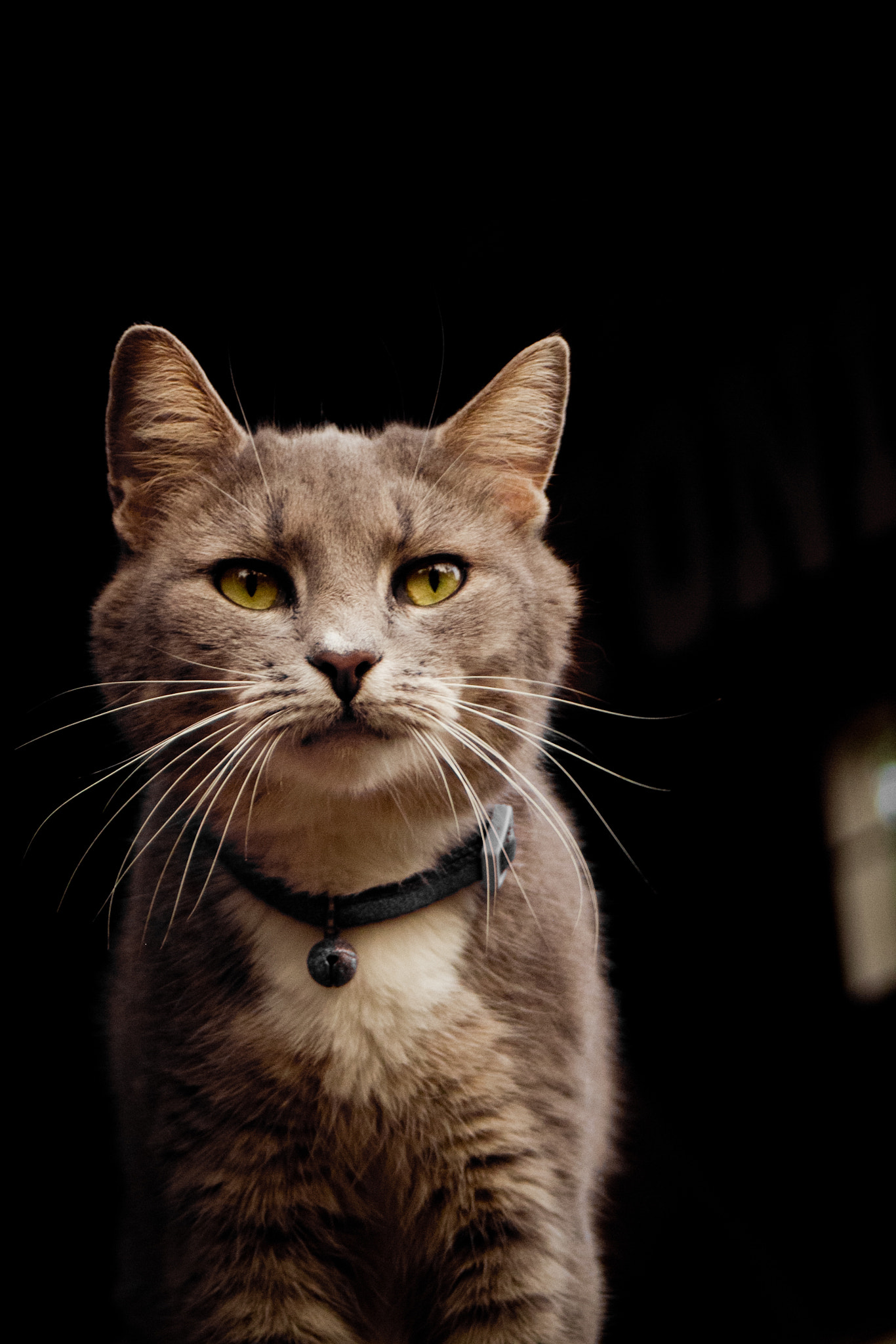 Canon EF 28-80mm f/3.5-5.6 sample photo. | eyes are the window to the soul photography