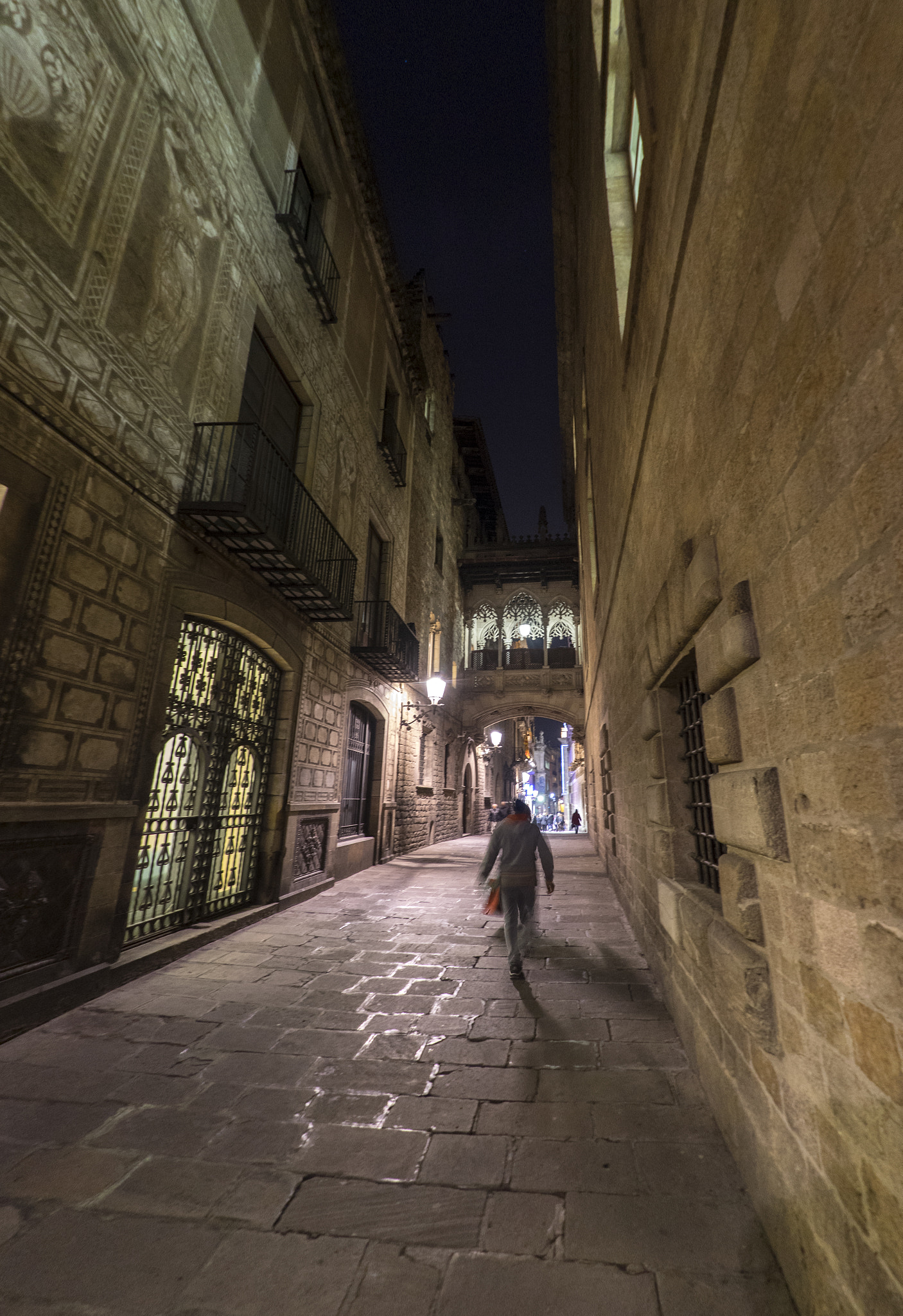 FE 16mm F3.5 Fisheye sample photo. Gothic quarter of barcelona photography