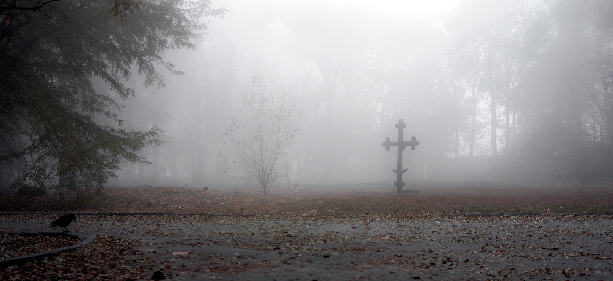 Samsung NX1100 + Samsung NX 30mm F2 Pancake sample photo. Foggy morning photography