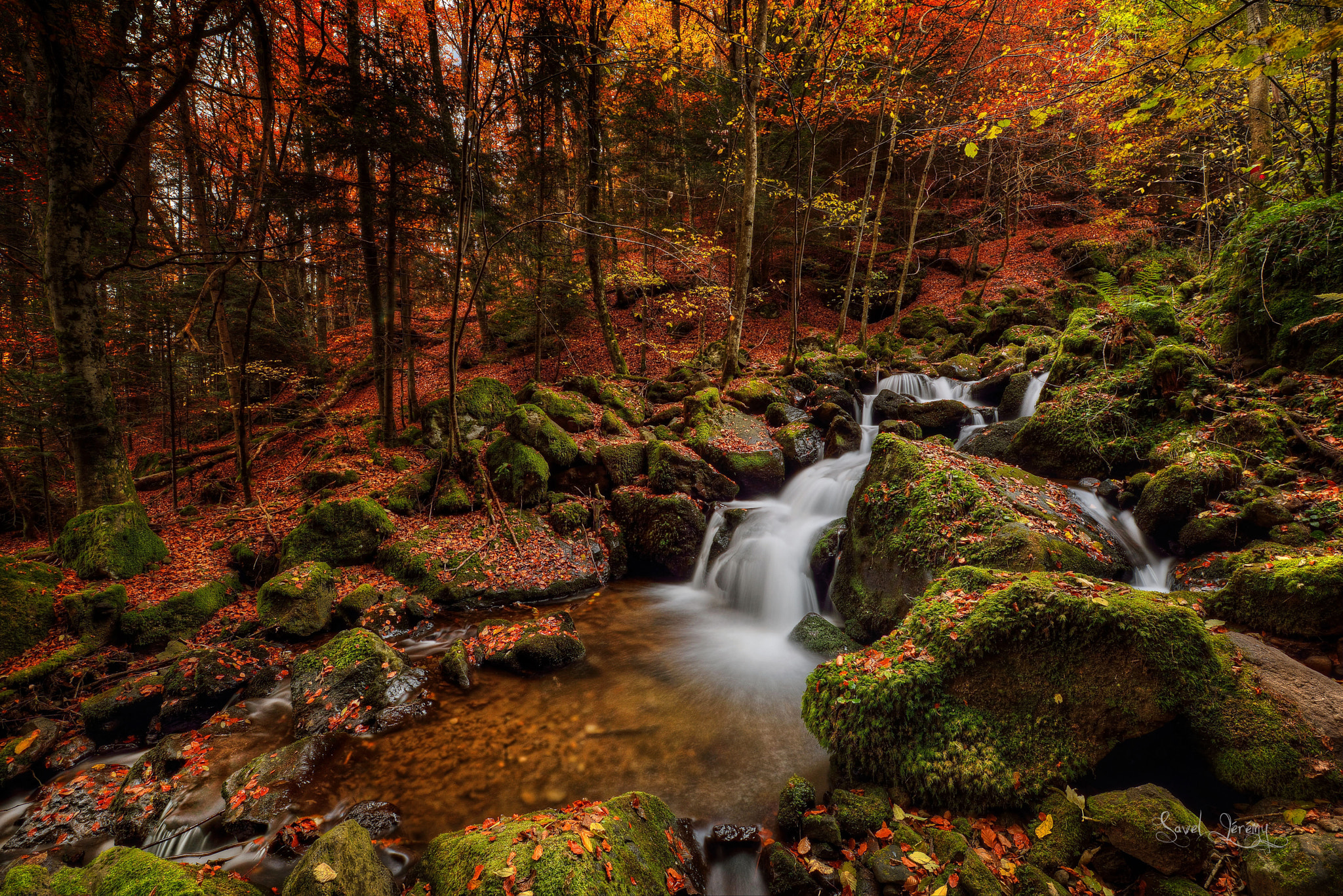 Nikon D800 + Sigma 18-125mm F3.8-5.6 DC OS HSM sample photo. Elven creek photography