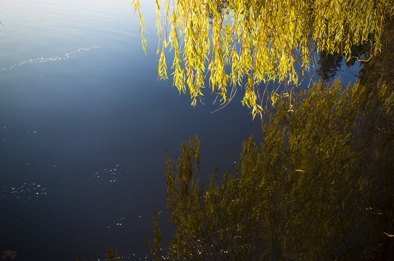 Pentax smc DA 18-55mm F3.5-5.6 AL sample photo. A cold day in stanley park, vancouver, canada photography