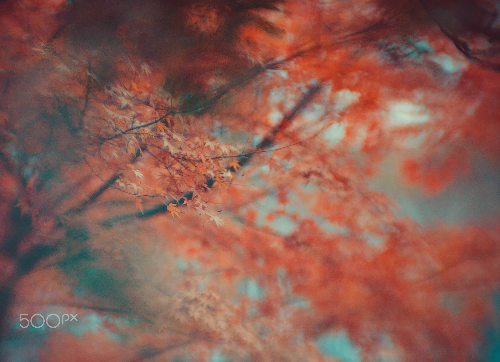 Canon EOS-1Ds sample photo. Silence of nature photography