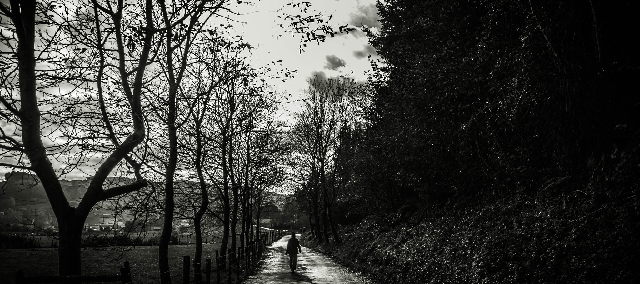 Sigma 17-70mm F2.8-4 DC Macro OS HSM | C sample photo. Berastegi photography