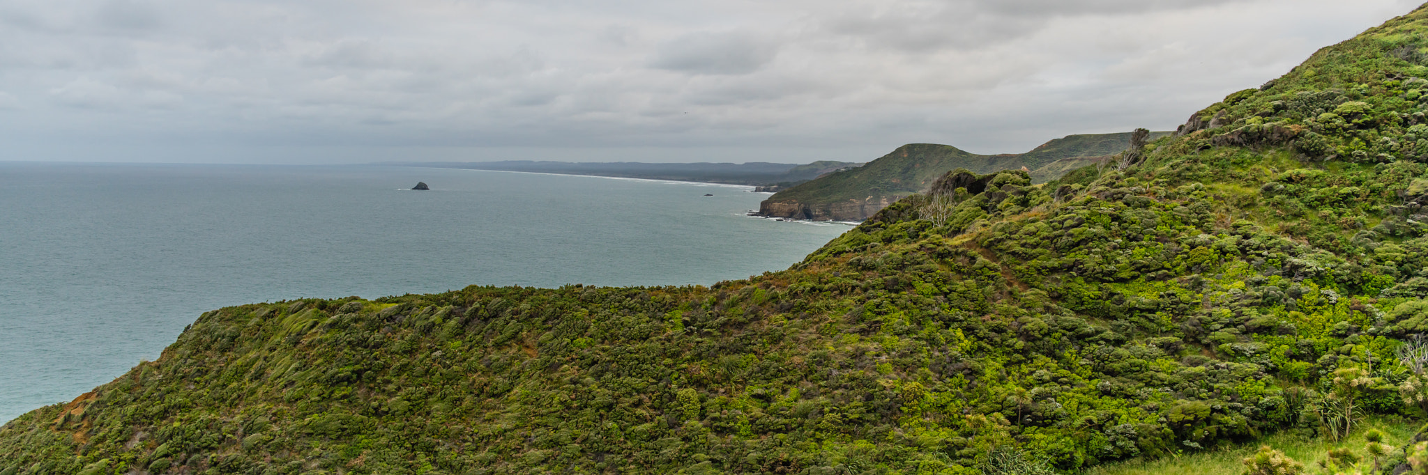 Sony a7R II + Canon TS-E 45mm F2.8 Tilt-Shift sample photo. O'neils bay through muriwai photography