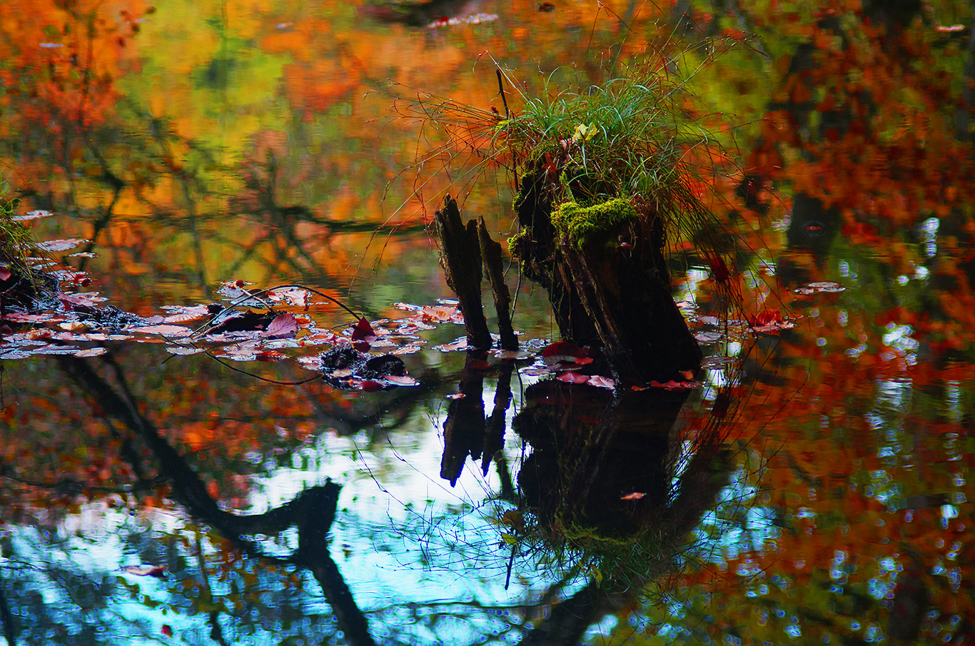 Pentax K-5 + smc PENTAX-FA 100-300mm F4.7-5.8 sample photo. Yedigöller of the colors photography