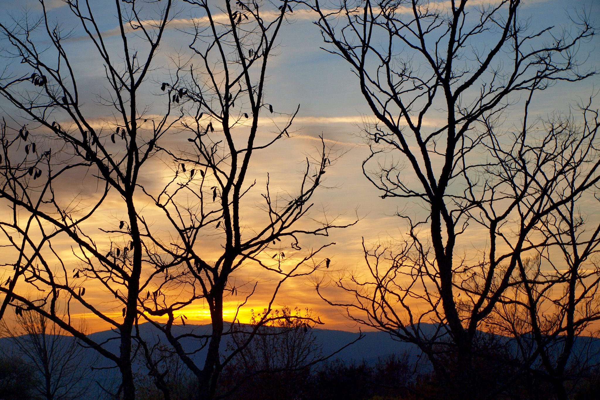 Olympus E-450 (EVOLT E-450) sample photo. Sunset photography