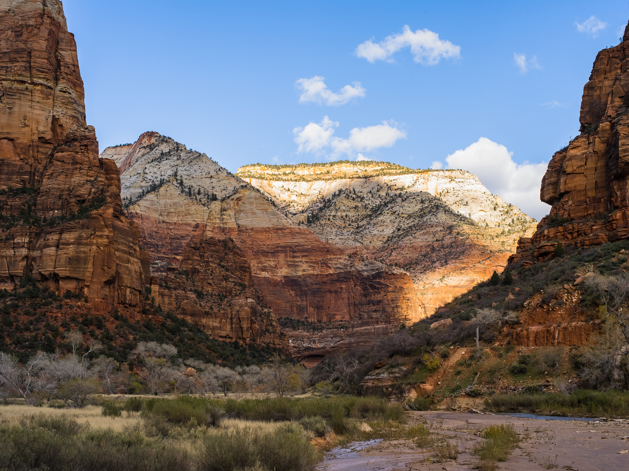 Pentax 645D sample photo. Zion canyon bottom photography