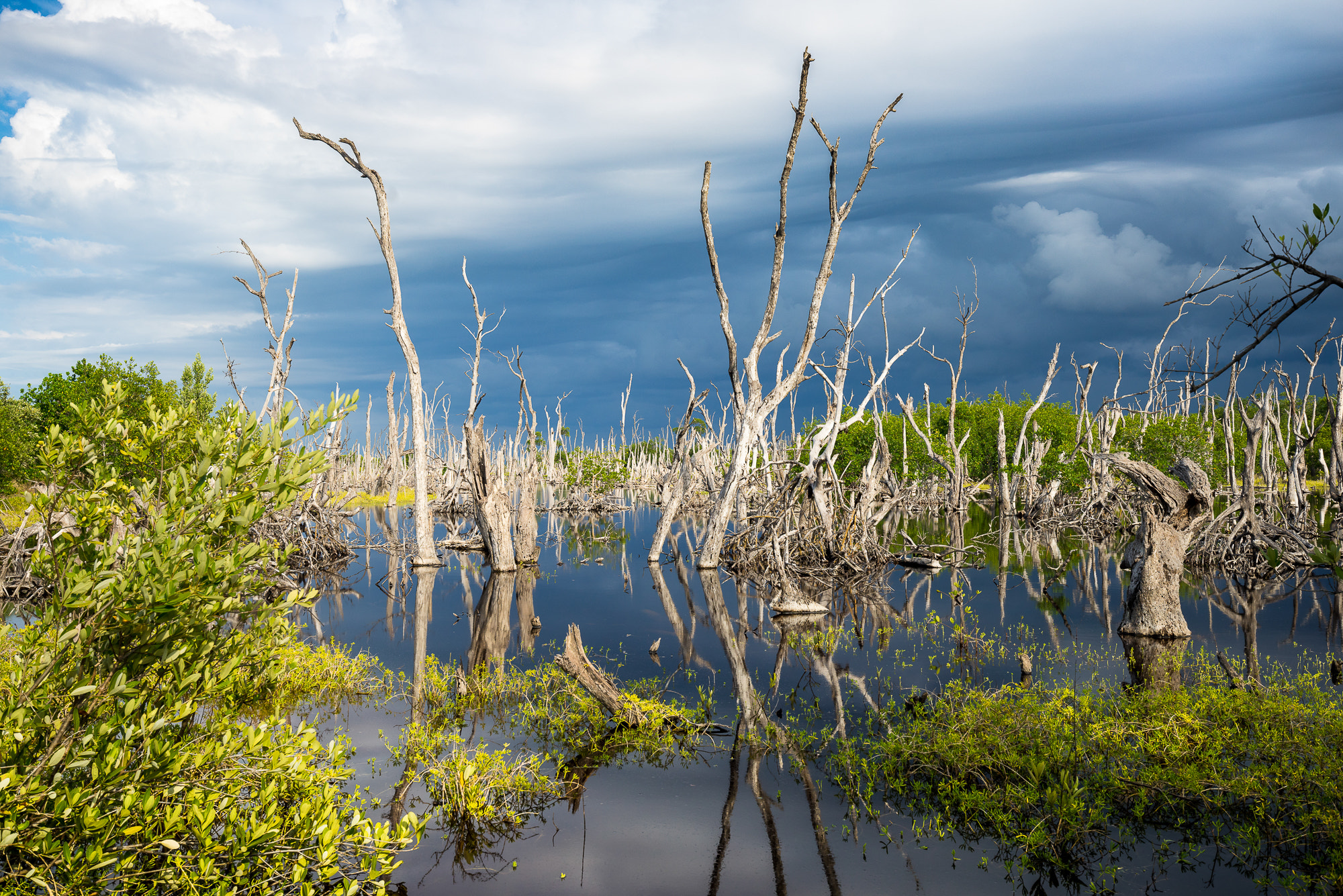 Sony a7R + Canon EF 16-35mm F4L IS USM sample photo. Cayo jutias photography