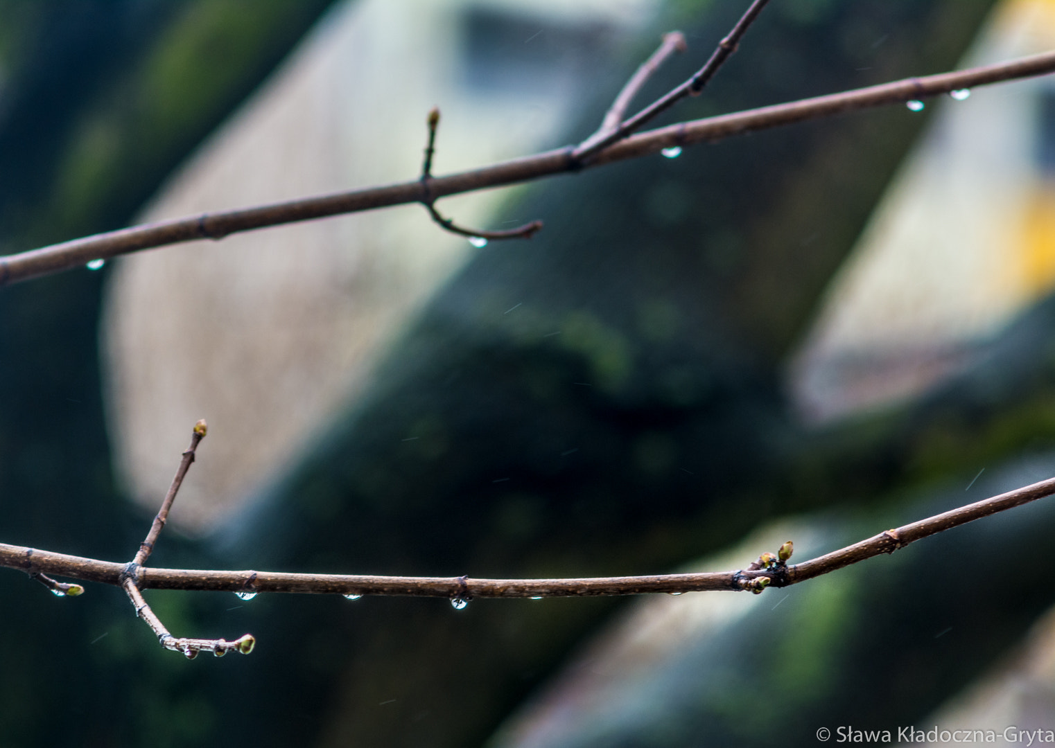 Nikon D7100 + AF Zoom-Nikkor 70-210mm f/4 sample photo. Rain photography