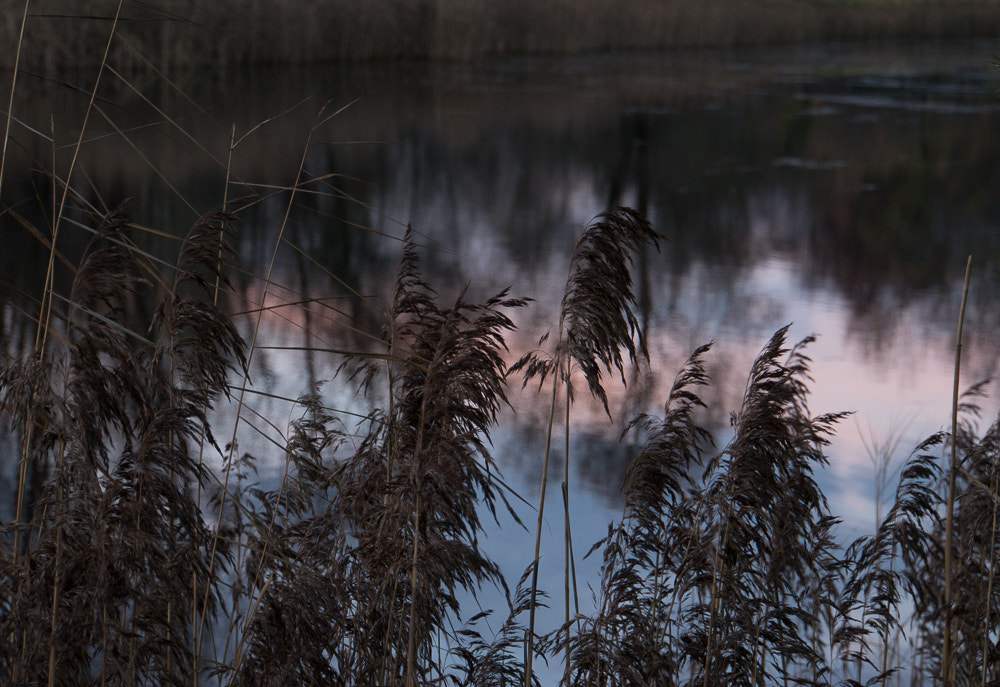 Sony Alpha NEX-3N + Sony E 18-200mm F3.5-6.3 OSS sample photo. Sky in the water photography