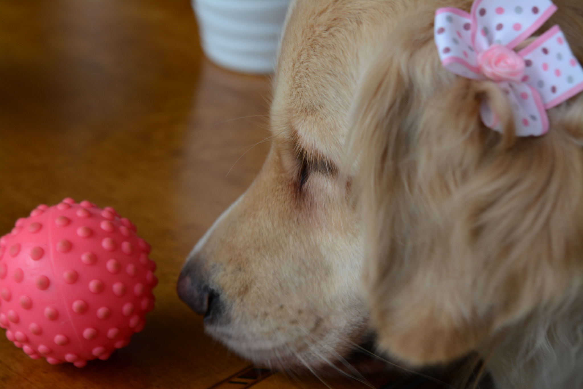 Nikon AF-S Micro-Nikkor 60mm F2.8G ED sample photo. Did i say i love you? photography