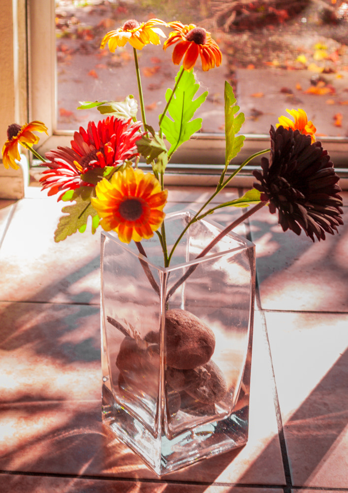 AF Zoom-Nikkor 35-135mm f/3.5-4.5 N sample photo. Technicolor flowers photography