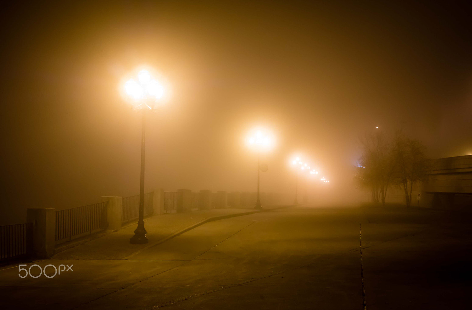 Panasonic Lumix DMC-GX8 + LUMIX G 20/F1.7 II sample photo. Foggy morning by the river photography
