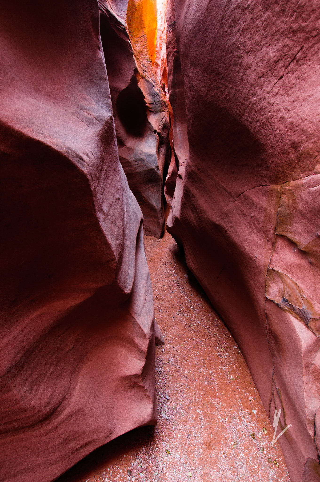 Nikon D300S + Sigma 10-20mm F3.5 EX DC HSM sample photo. Spooky canyon photography