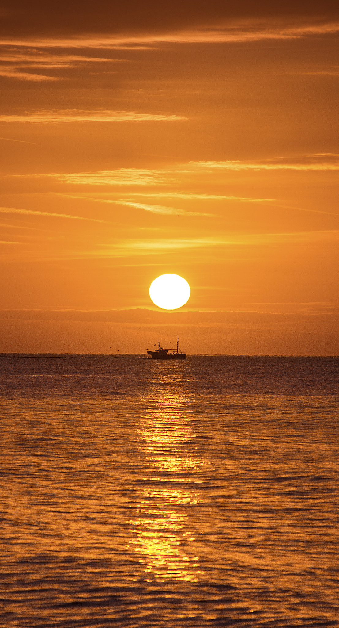 Sigma 70-300mm F4-5.6 DL Macro sample photo. Fisherman's morning sail. photography
