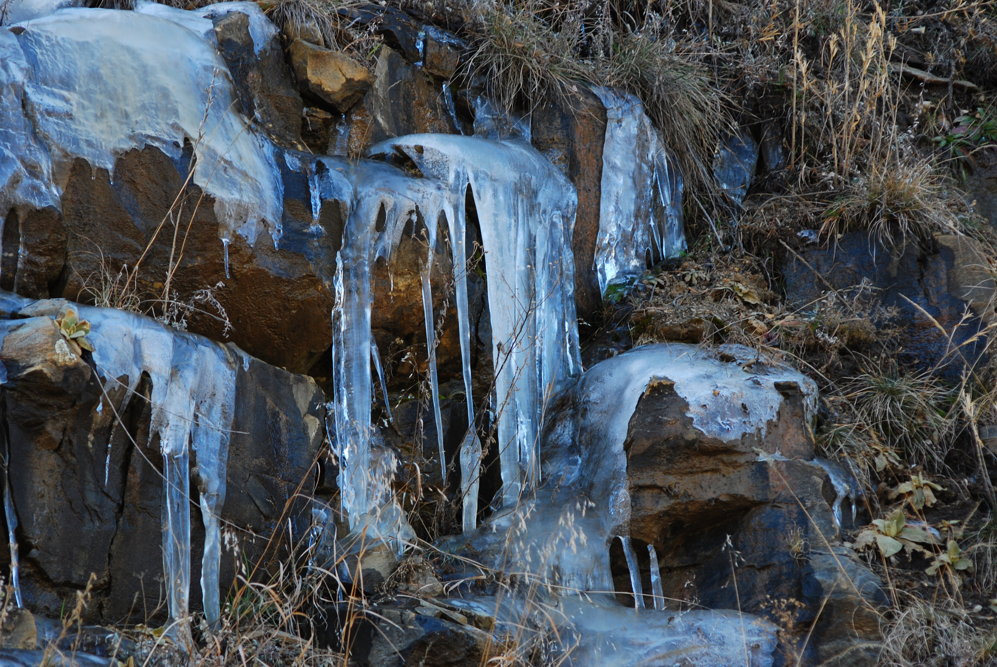 Nikon D80 + AF Nikkor 70-210mm f/4-5.6 sample photo. Frozen photography