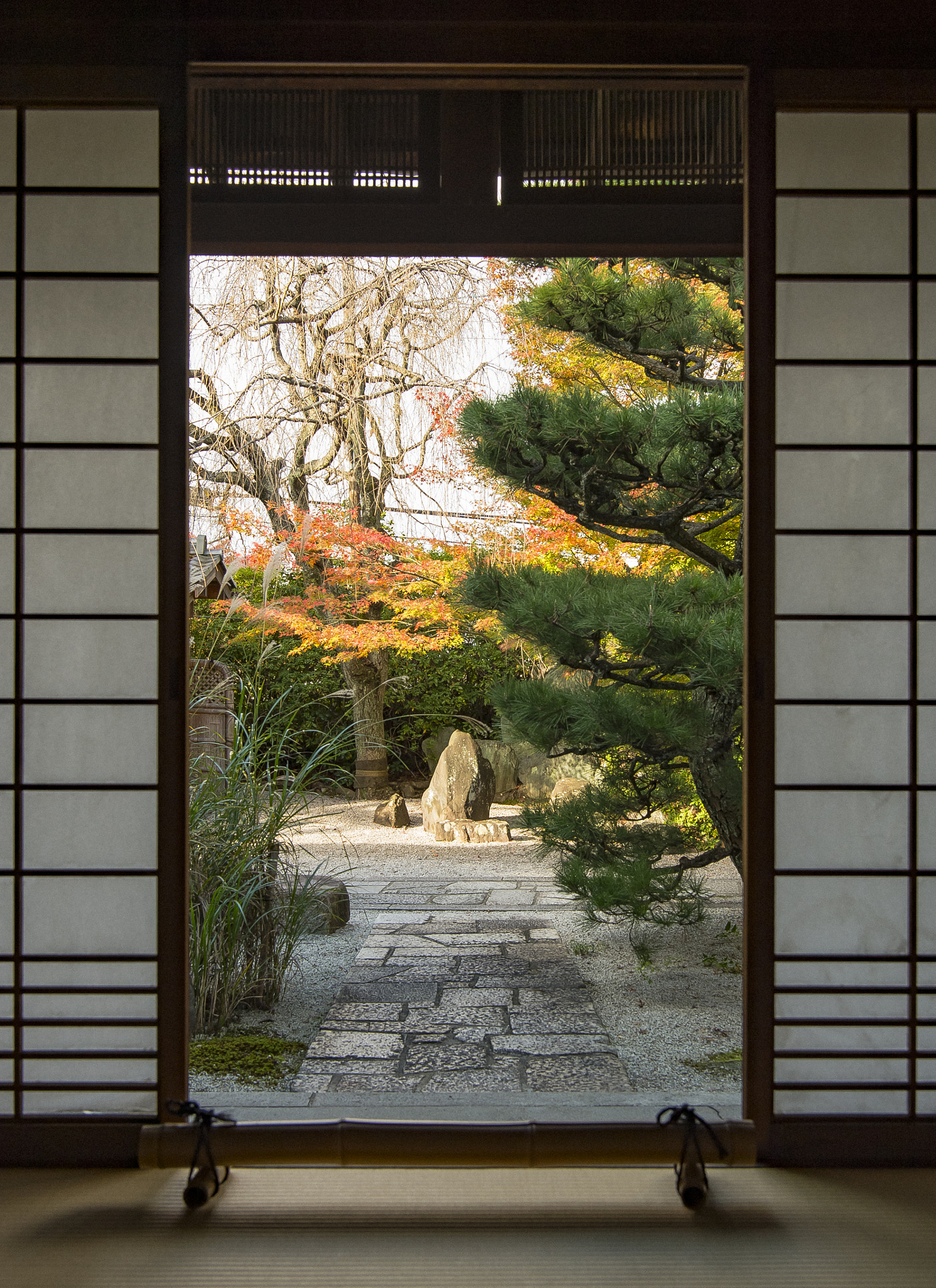 Nikon AF-S Nikkor 24-70mm F2.8E ED VR sample photo. This is a window of the autumns, too photography