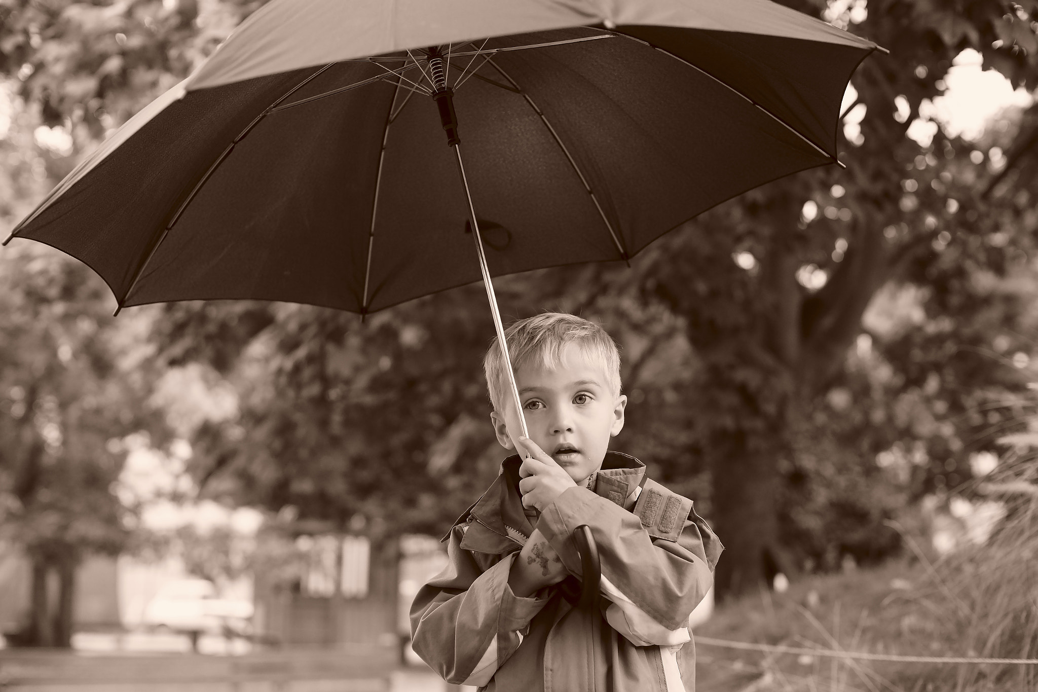 Sony a99 II + Minolta AF 50mm F1.4 [New] sample photo. Sepia times photography