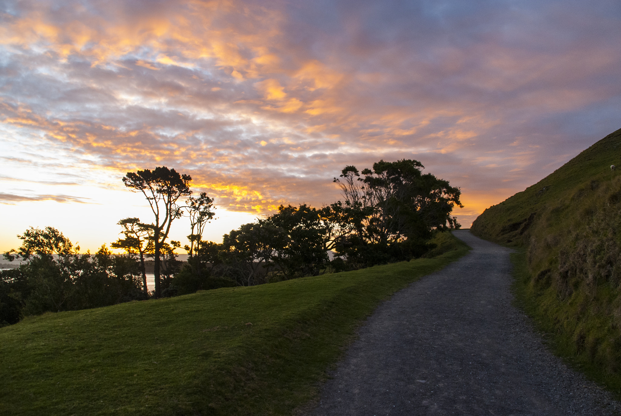 Nikon D200 + Sigma 18-200mm F3.5-6.3 DC sample photo. Mount trip photography