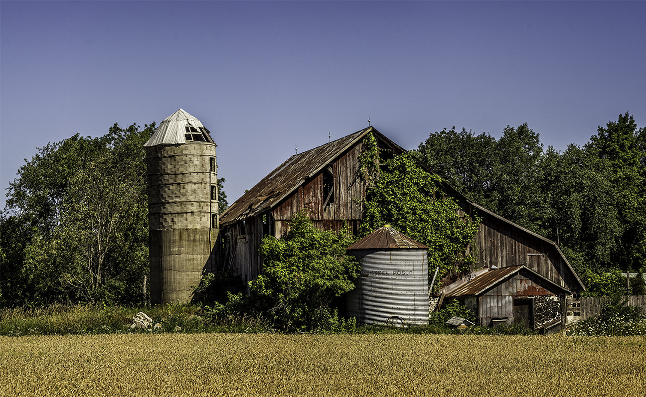 Canon EF 75-300mm F4.0-5.6 IS USM sample photo. Barn full of memories photography