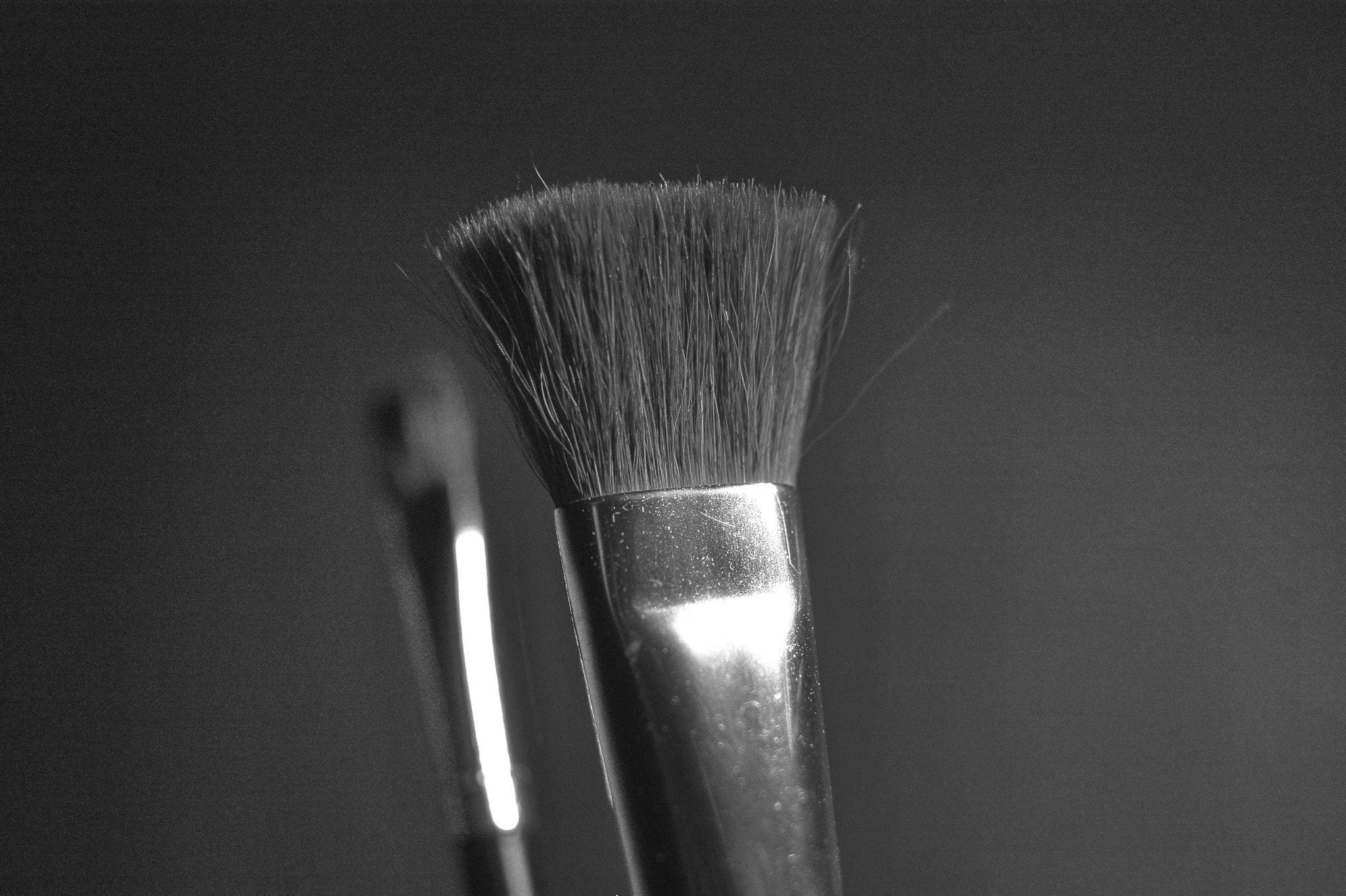 Pentax K110D + Sigma sample photo. Brush photography